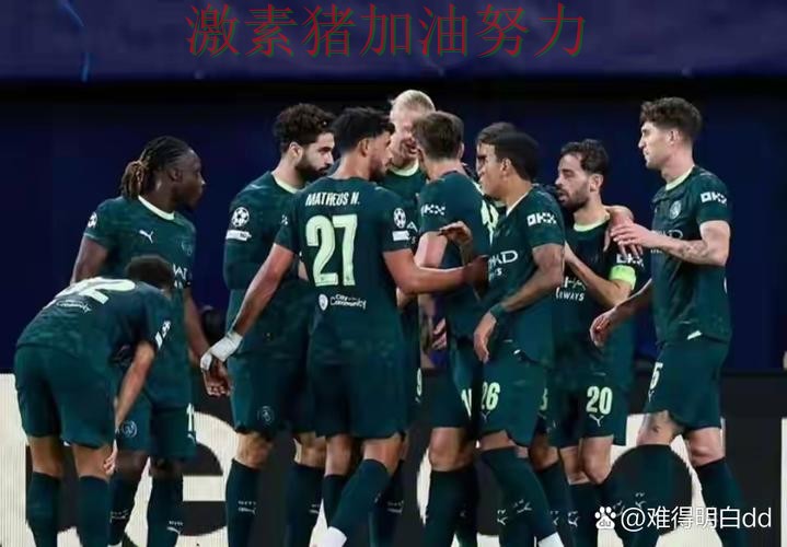 哈兰德赛后发言球队未来方向逐渐清晰